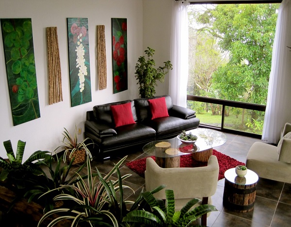 Home decor with plants1